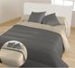 BLEU CALIN Warm winterdekbed tweekleurig grafiet/zeem 140x200 cm
