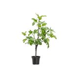 House Doctor kunstplant Fig