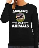 Bellatio Decorations Amazing Wild Animals Sweater Paard - Zwart - Dames - XS