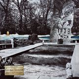 Reluctant Mike Cooper - Reluctant Swimmer / Virtual Surfer (LP)