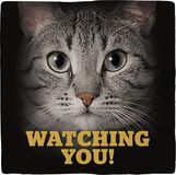 spreuktegel Flamingo Deco Tile Grey Cats Eyes Spreuktegel