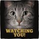 spreuktegel Flamingo Deco Tile Grey Cats Eyes Spreuktegel