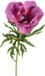 Countryfield kunstbloem anemone lila decoratie bloem 52cm kunststof.