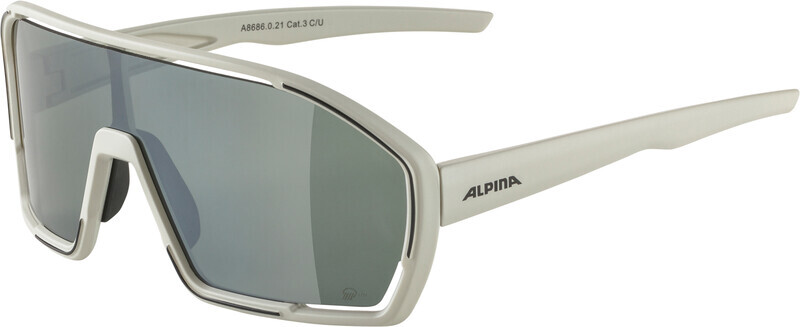 Alpina Bonfire Q-Lite Glasses, grijs