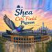 Shea the Citi Field Pigeon