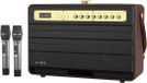 W-KING K6L brun - Enceinte