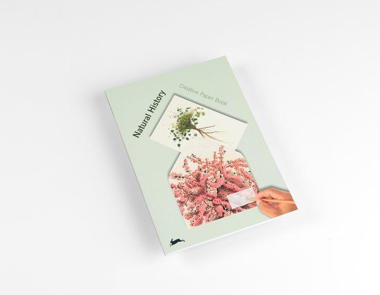 Natural Pepin Press Creative Paper Book - Natural History