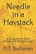 Needle Libri GmbH Needle in a Haystack Paperback