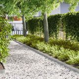 Bordure de jardin 50 pièces 100 x 0,05 x 15 cm Acier galvanisé Argent
