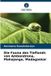 Die Verlag Unser Wissen Die Fauna des Tieflands von Ambondrona, Mahajanga, Madagaskar
