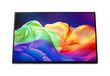 Acer PE160W LCD-monitor