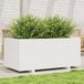 Maison Exclusive - Jardinière, blanc, 110 x 60 x 49,5 cm, pin massif