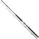 Daiwa Powermesh Boat Bodemvissen Hengel Zilver 2,42 m / 50-200 g