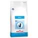 Royal Canin Veterinary Feline Adult 2 kg