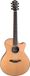 Furch Yellow Gc-CR guitare électro-acoustique western Grand Auditorium avec étui