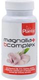 Plantis Magnolia + complexe B 60 gélules