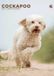 CalendarsRUs Cockapoo A3 Kalender 2027