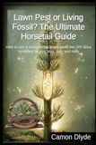 Lawn Horsetail Ultimate Horsetail Guide: How to turn a stubborn backyard weed into DIY silica remedies for joint pain, skin, and nails