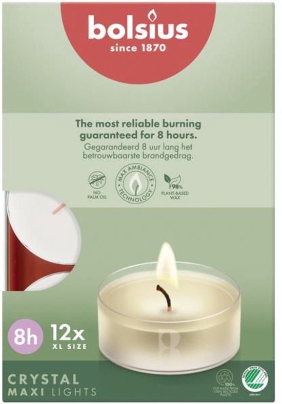 Bolsius - Maxi - Theelichten - 12 stuks per verpakking - Clear cup - Doos