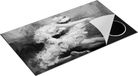 Chefcare Inductie Beschermer Ballerina - Ballet - Zwart Wit - 90x55 cm