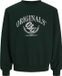 JACK&JONES JORFREDERIKSBERG FRONT SWEAT CREW NECK Heren L Katoen Polyester Pine Grove