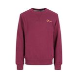 TYGO & vito sweater met backprint - donkerrood