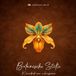 Botanische Brave New Books Botanische Stilte kleurboek