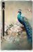 B2Ctelecom Back Case voor Samsung Galaxy Tab S9 Plus Vintage Pauwen