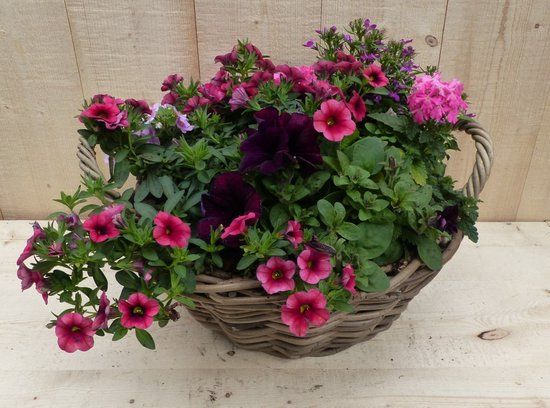 Warentuin Natuurlijk Rieten mand zomerbloeiers roze dia. 30 cm