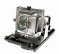 Diamond Lamps 5811116713-SU Lampe de projecteur 220W pour Vivitek D-851, D-853W, D-855ST, D-856STPB, D-857WT, D-858WTPB