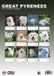 CalendarsRUs Pyreneese Berghond A3 Kalender 2027