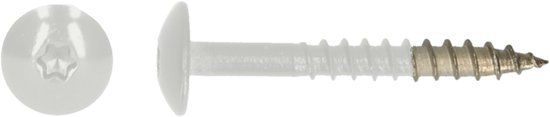 pgb-Europe PGB-FASTENERS | HPL schroef Tx20 4,8x38 R9003 A4