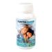 SCIENCE & HEALTH SBD Eierwekker 60 cap, standaard, uniek