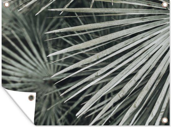 GreatGardenPosters Tuinposter - Bladeren - Groen - Palm - 120x90 cm - PVC - Landelijk - Winter