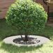 Maison Exclusive - Anneau de sapin plat en acier blanc diamètre 40/70 cm