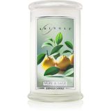 Kringle Candle Grote Geurkaars Yuzu & Salie