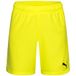 PUMA Teamgoal Jr Uniseks gebreide shorts