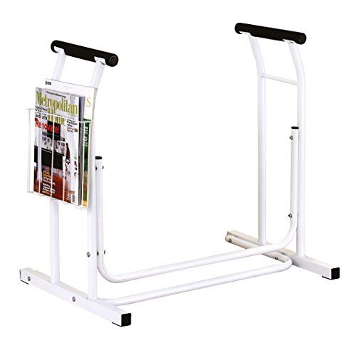 Stock-Fachmann Toiletsteun - 4250635729685