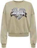 Only Lauren Sweater Dames - Maat S