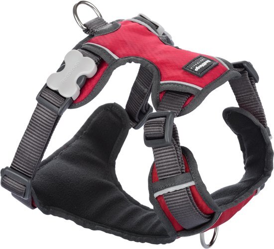 Red Dingo Padded Harness 37 tot 52 cmDH-PH-RE-SM rood