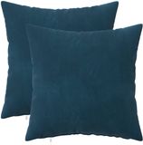vidaXL Kussensloop 2 pcs HEERLEN Blauw 40 x 40 cm Fluweel