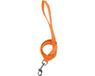 Nobleza Laisse pour chien - Nylon - À pois - Longueur 120 cm - Largeur 2 cm - Orange - Taille L