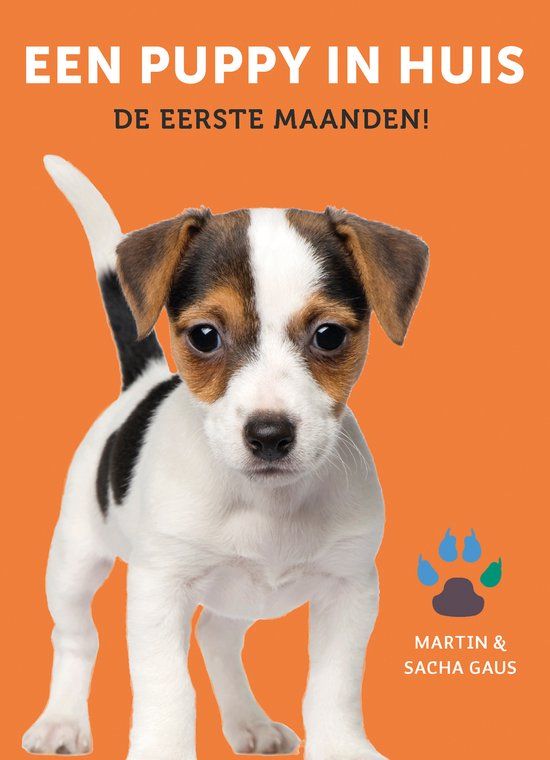 Een Bol Een puppy in huis