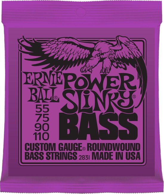 Ernie Ball P02831