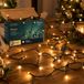 Lumineo Kerstboomverlichting - 80 LED lampjes - warm wit - 6 meter - lichtsnoer