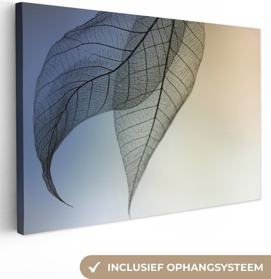 OneMillionCanvasses Canvas schilderij - Bladeren - 60x40 cm