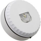 Solista Diffuseur Lumineux Solista Lx W Mural
