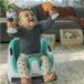 Baby Einstein Dine & Discover: Siège auto polyvalent pour tout-petits