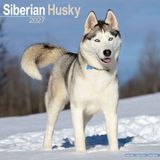 Avonside Siberian Husky Kalender 2027 Wandkalender