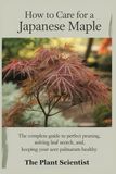 How Japanese Maple How to Care for a Japanese Maple: The Complete Guide to Perfect Pruning, Solving Leaf Scorch, and Keeping Your Acer Palmatum Healthy.